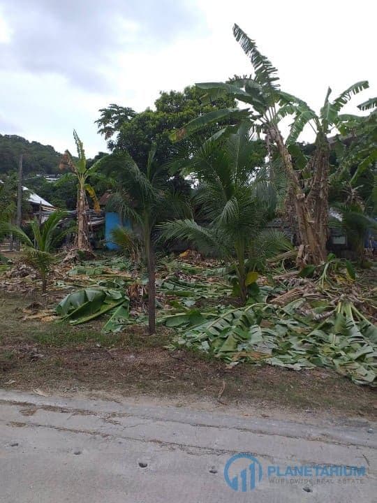 Land at surin beach — photo 2