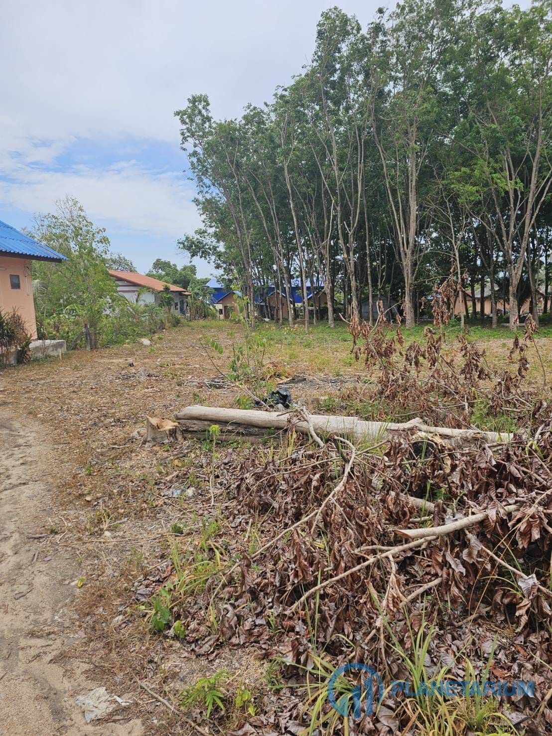 Land for sale at saiyuan rawai — photo 1