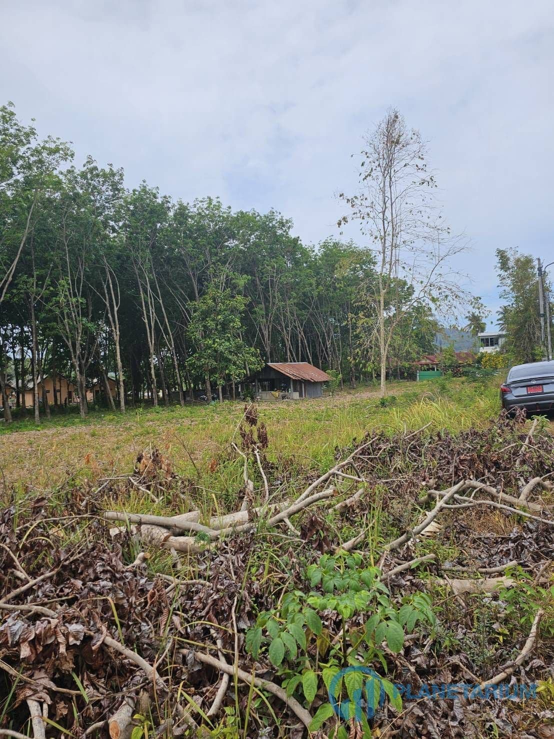 Land for sale at saiyuan rawai — photo 3