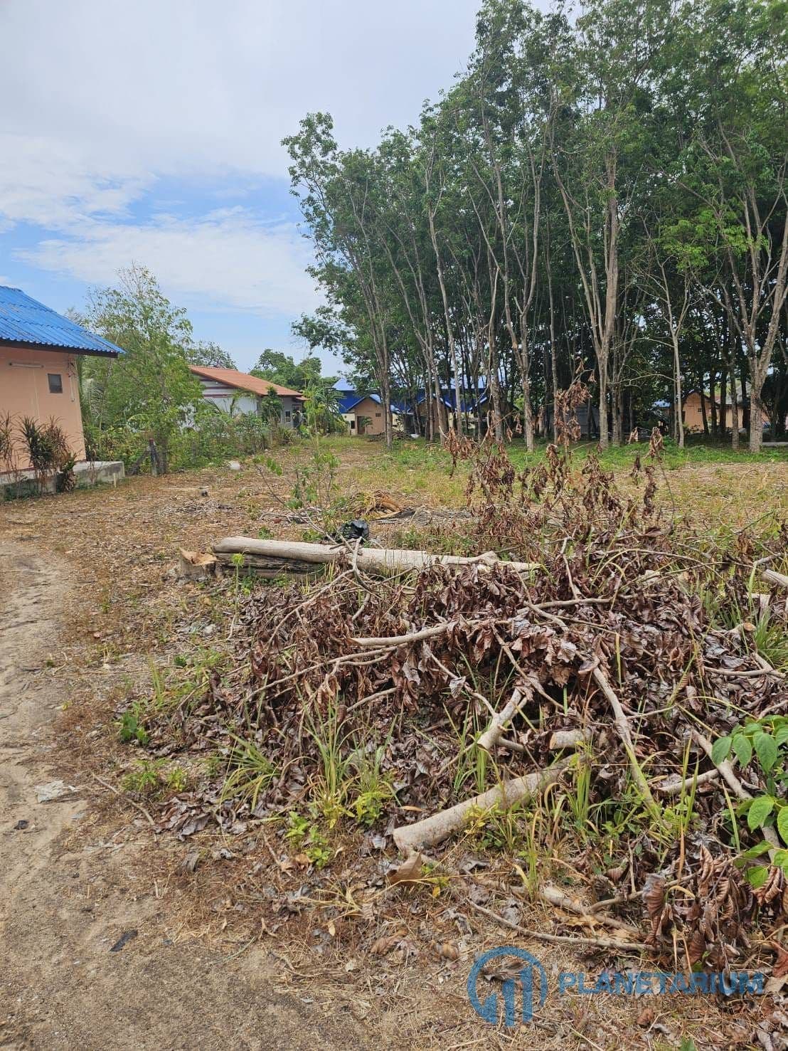 Land for sale at saiyuan rawai — photo 5