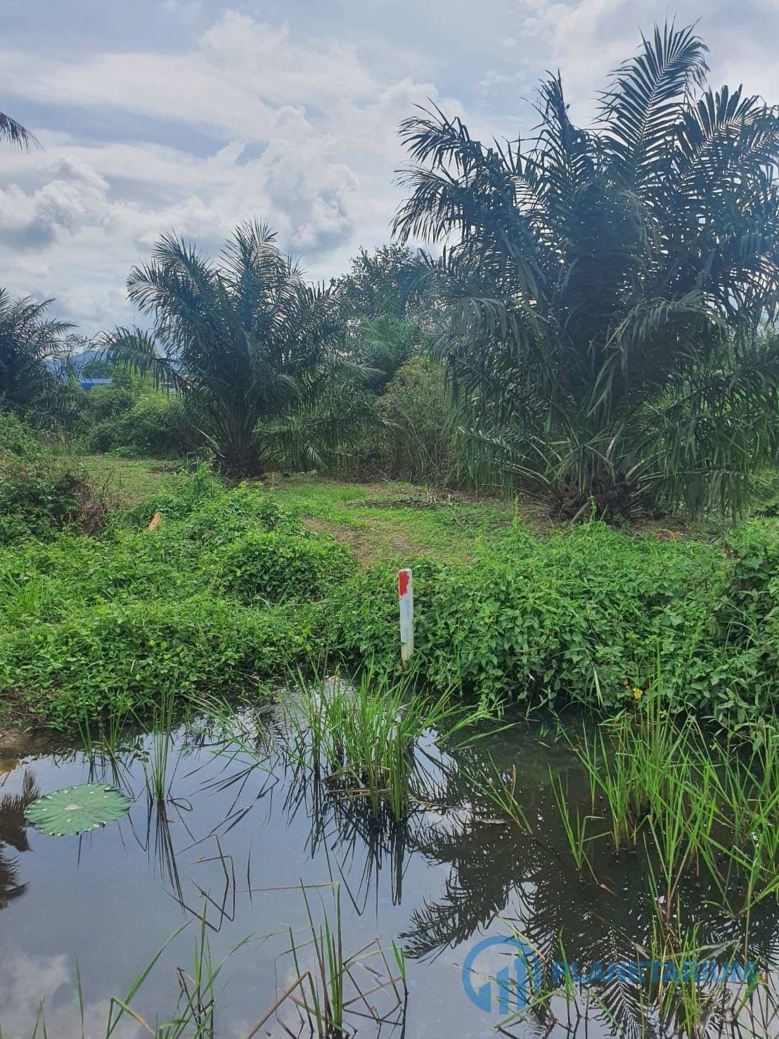 Land at pasak — photo 1