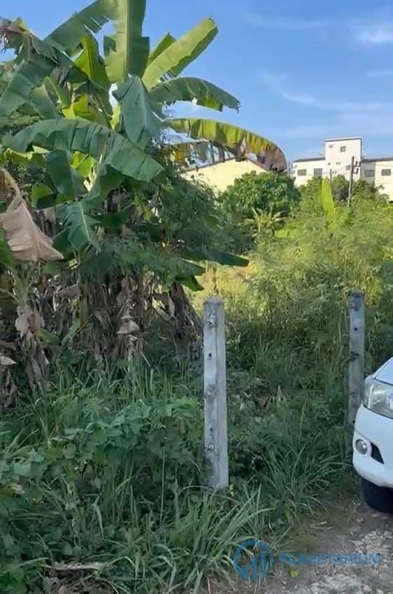 Land for sale chalong — photo 3