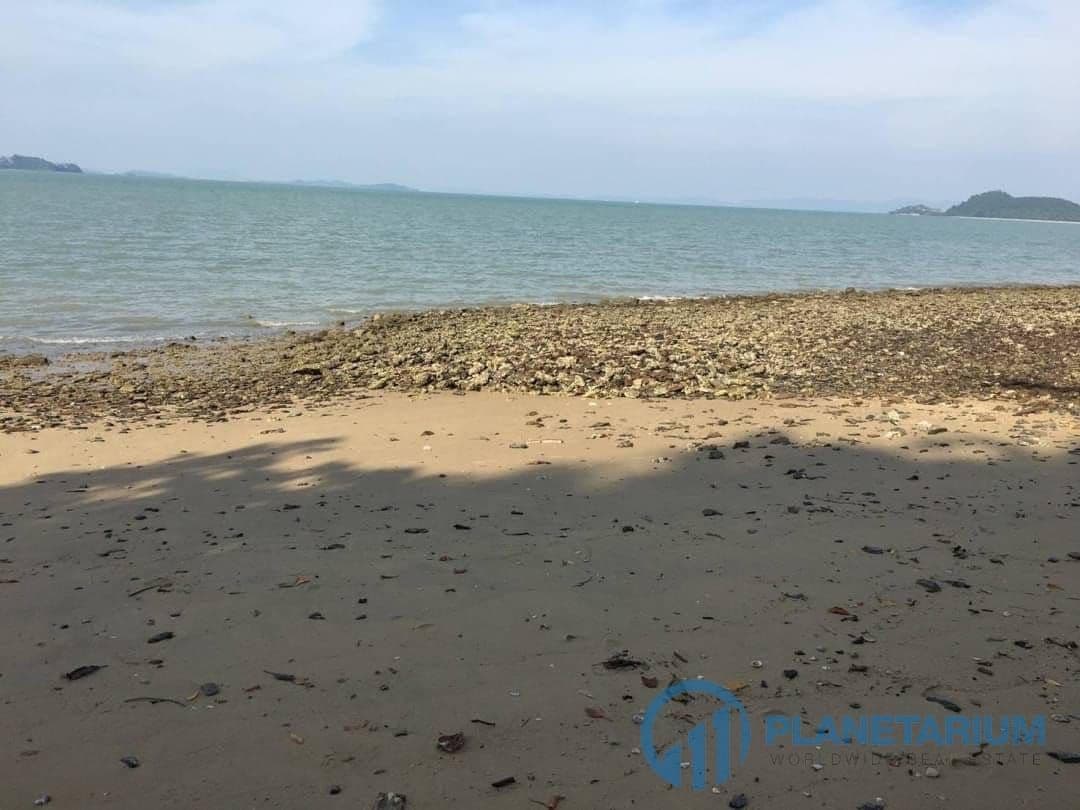Land coconut village island for sale — photo 1