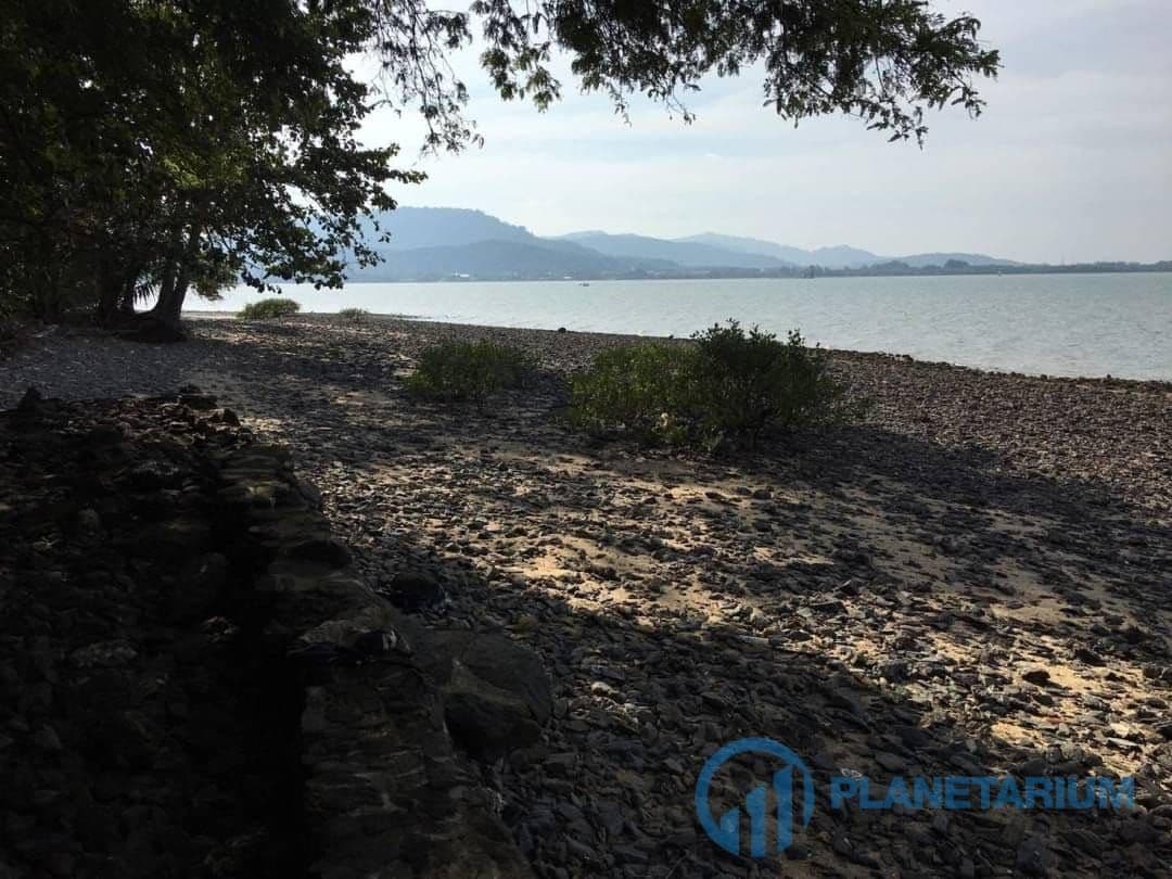 Land coconut village island for sale — photo 3