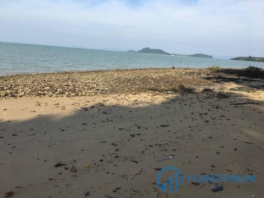 Land coconut village island for sale — photo 4