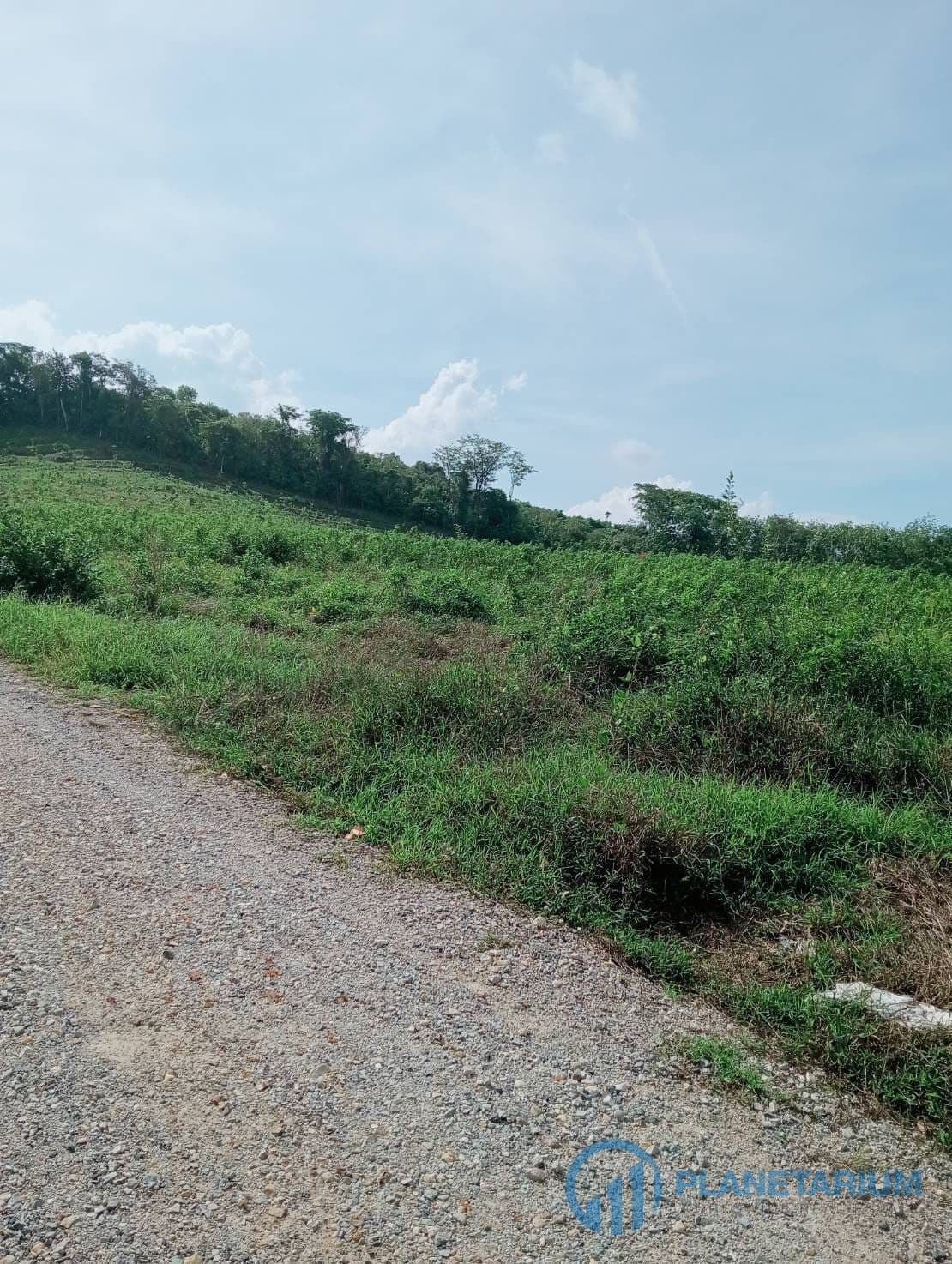 Seaview land at Yamu — photo 2