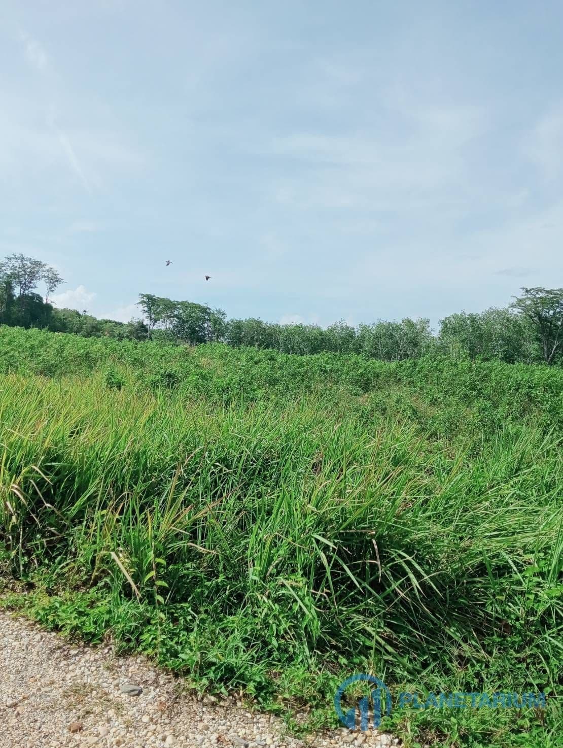 Seaview land at Yamu — photo 1