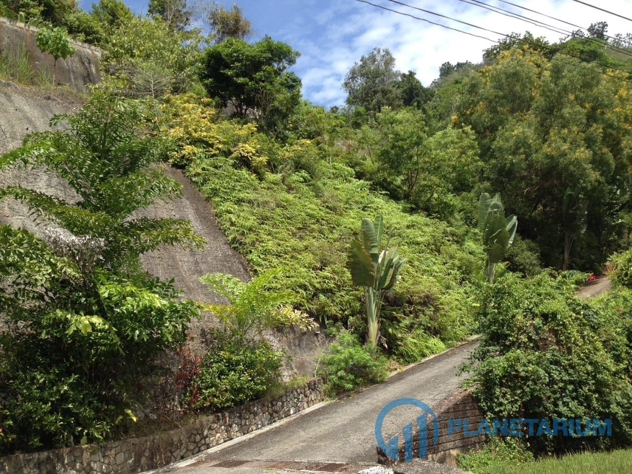 Sea view land Ta sai phuket — photo 4