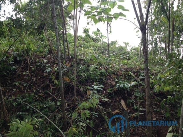 Sea view land Ta sai phuket — photo 5