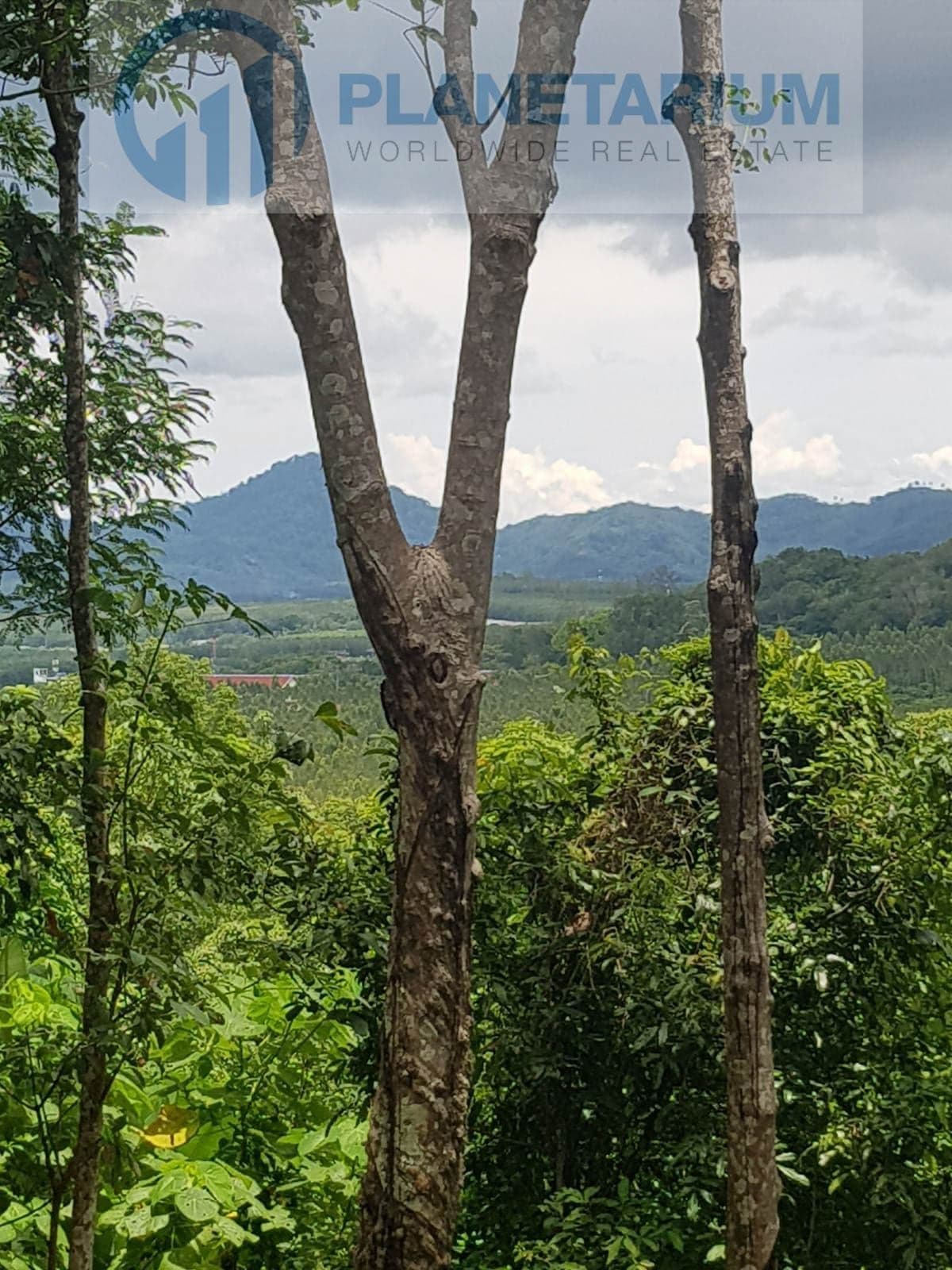 Land with seaview bangtao — photo 1