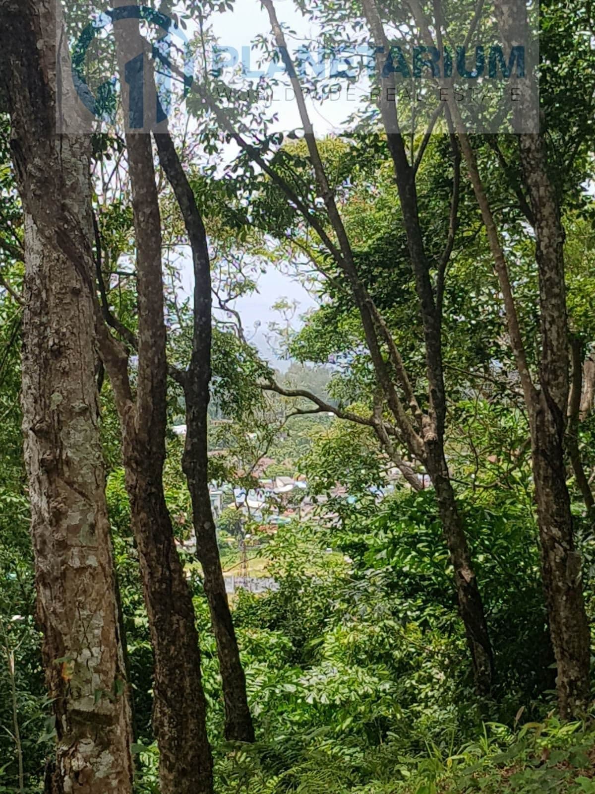 Land with seaview bangtao — photo 2
