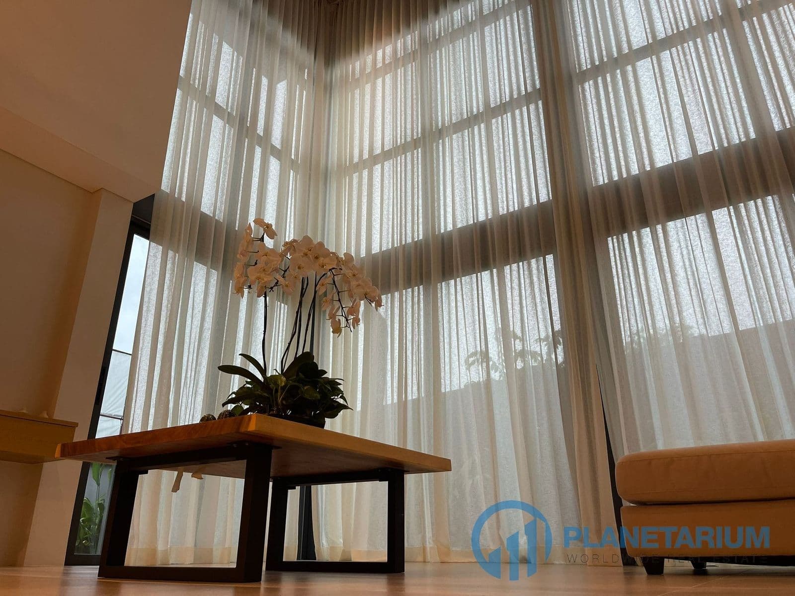 3 Bedroom Luxury Villa near Boat Avenue Rent — photo 4