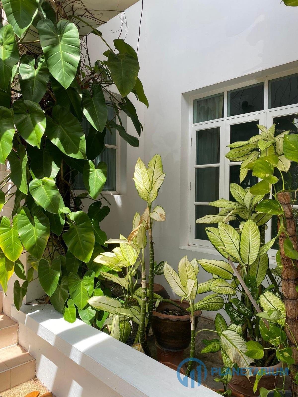 3 Bedroom Villa Land and House Chalong Resale — photo 3