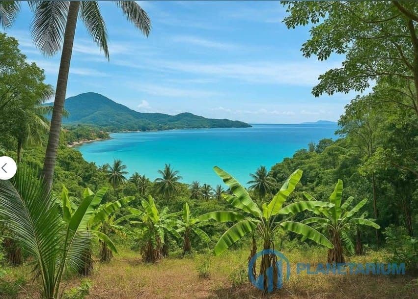 Land for sale at koh samui — photo 1