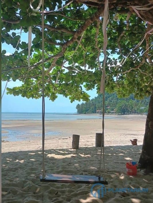 Land for sale at koh samui — photo 3