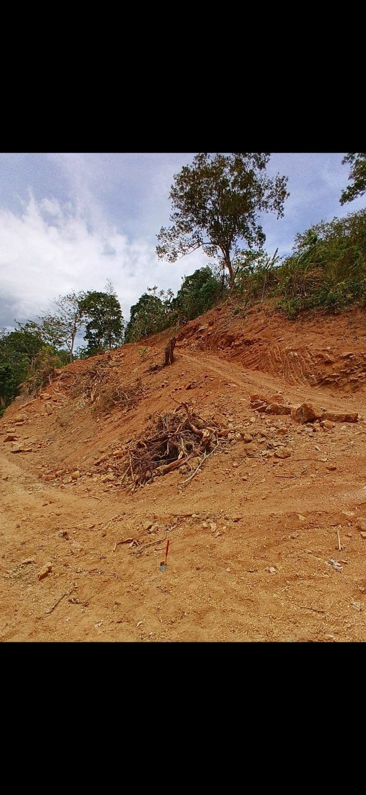 Kata Seaview Land for sale — photo 4