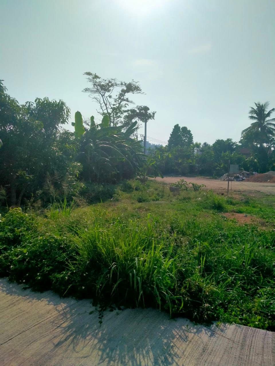 Land 2 Rai near bangtao for sale — photo 3