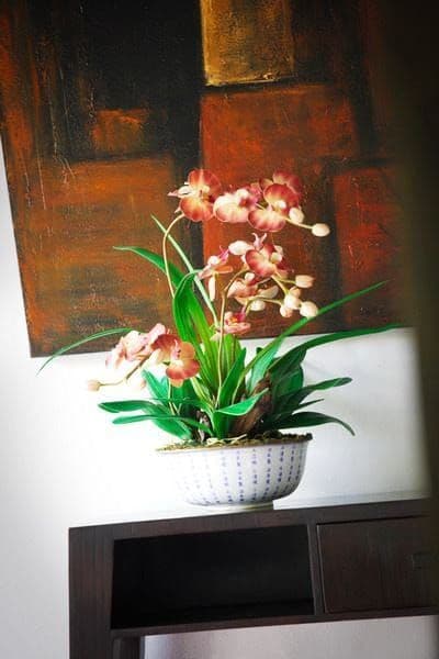 Tropical Modern on Rawai — photo 5
