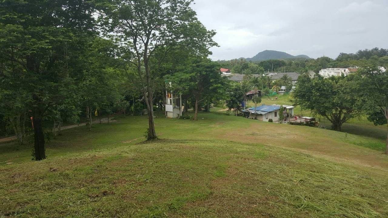 Land in popular rawai — photo 5