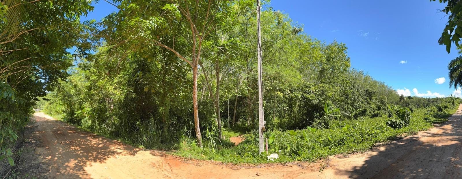 Land for sale thepkrasat tree road — photo 1