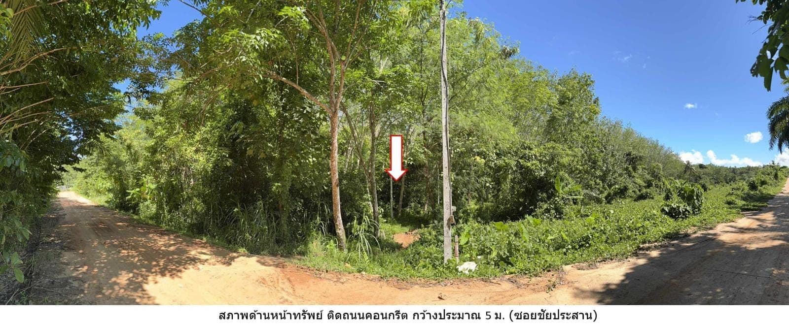 Land for sale thepkrasat tree road — photo 2