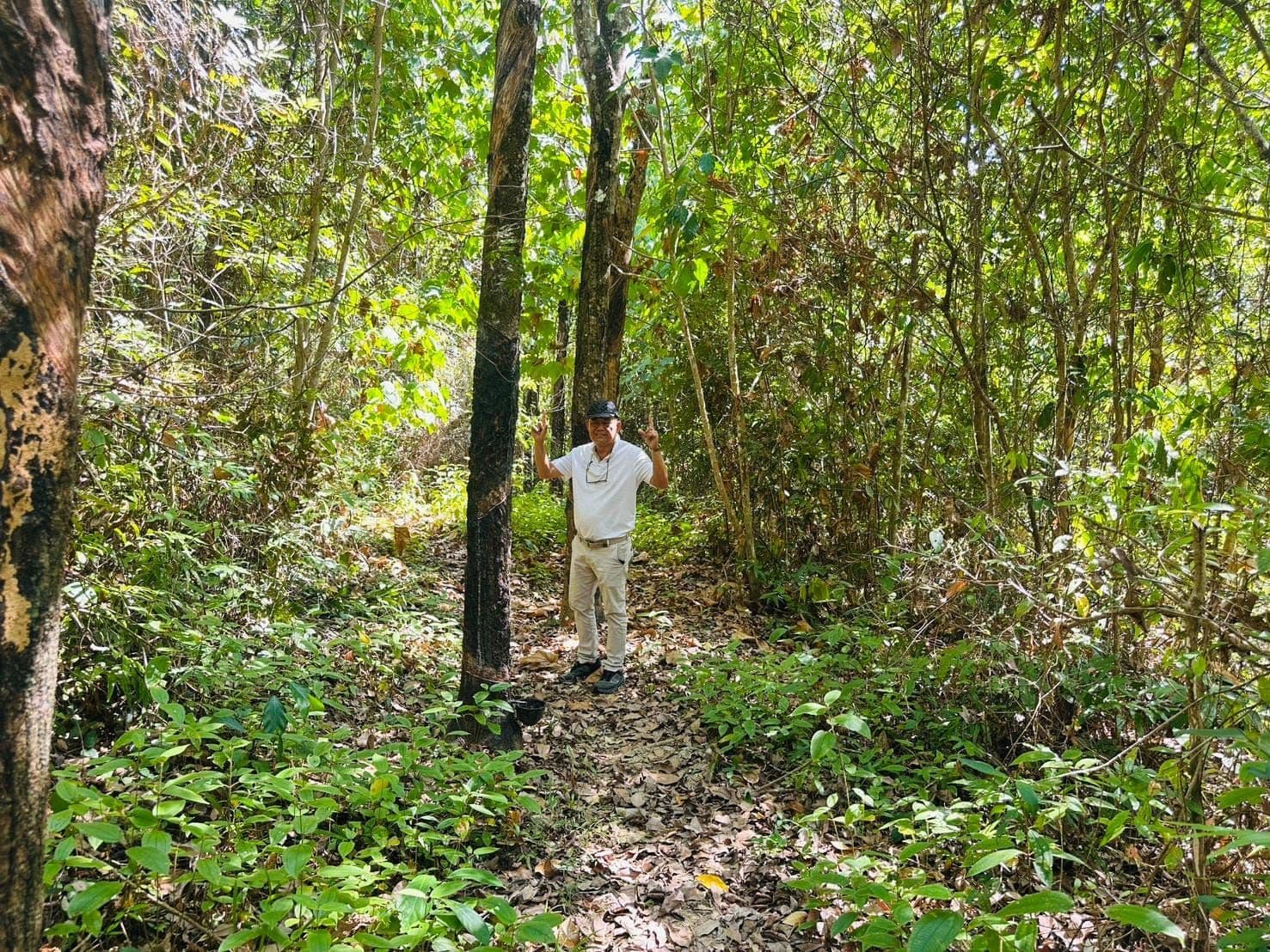 Land for sale thepkrasat tree road — photo 3