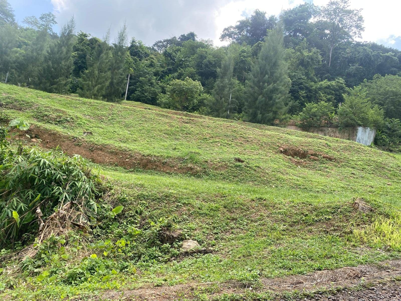 Land for sale near british school — photo 1