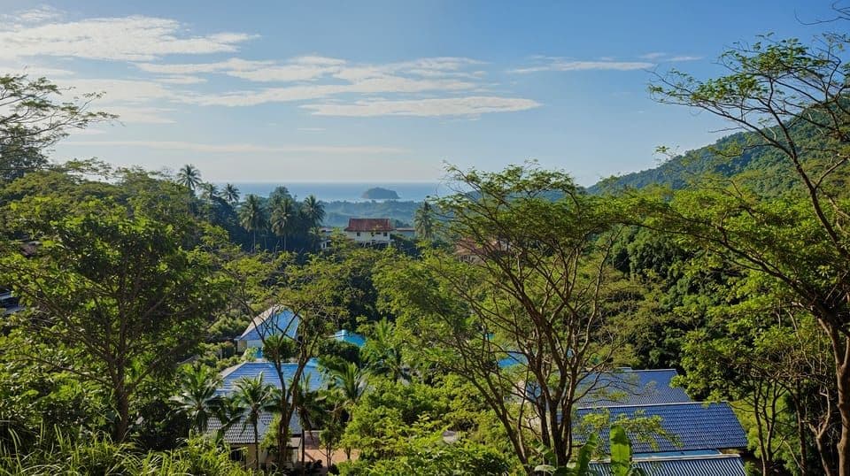 Panorama Kata Oceanview — photo 2