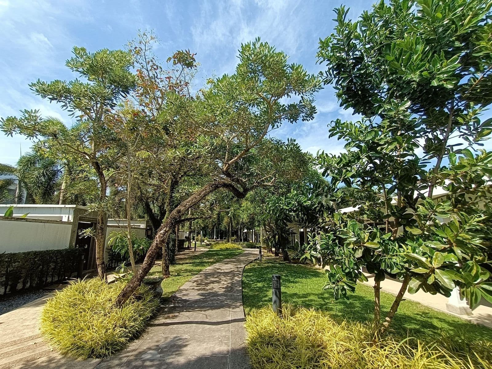 Duplex Condominium Bangtao – North Phuket 4 bedroom — photo 5