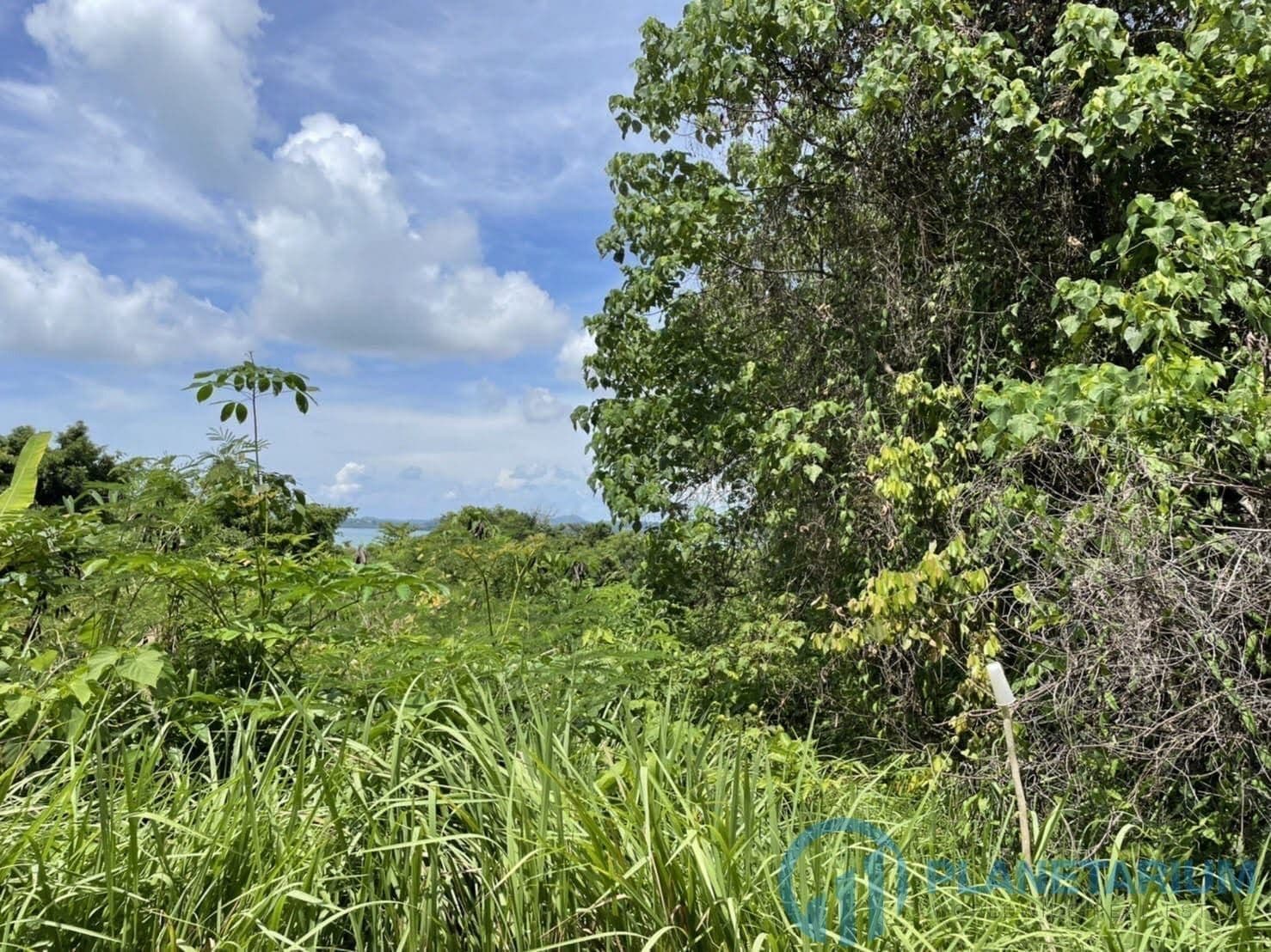 Land for sale on coconut island — photo 2