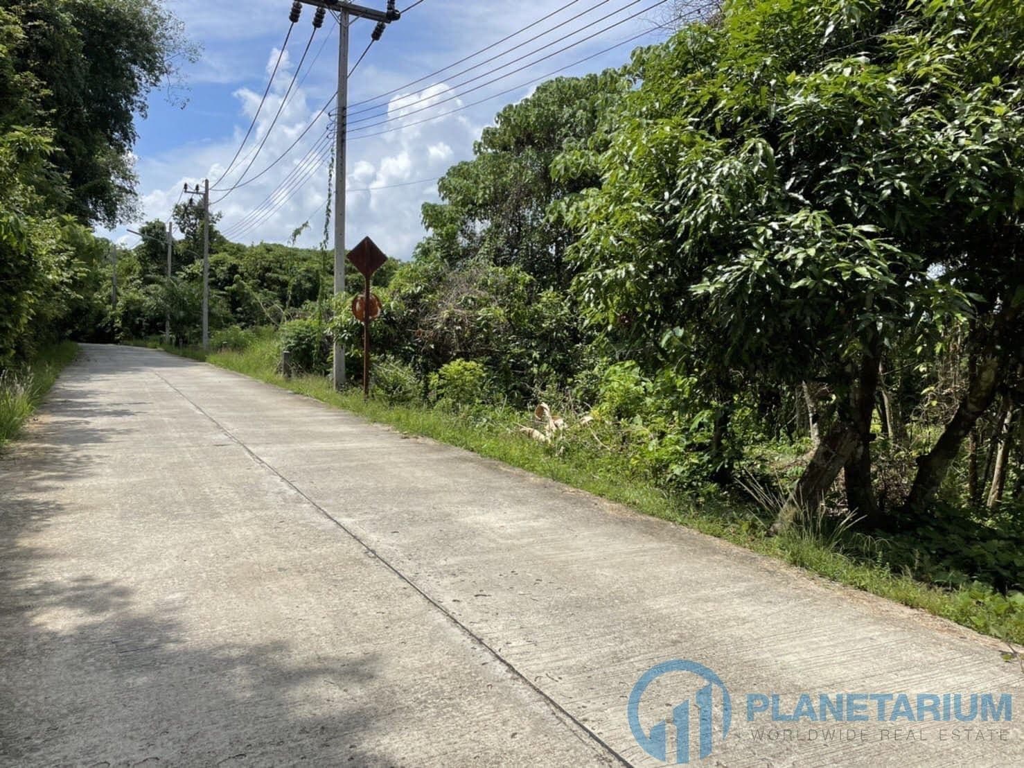 Land for sale on coconut island — photo 4
