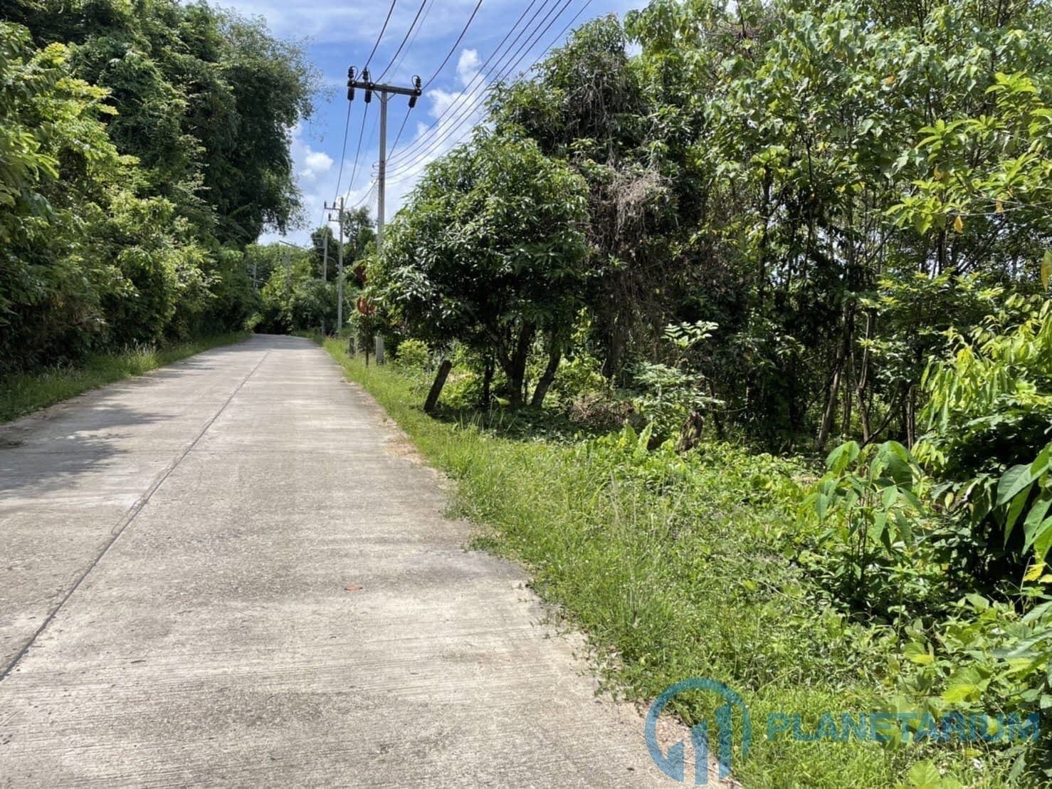 Land for sale on coconut island — photo 5