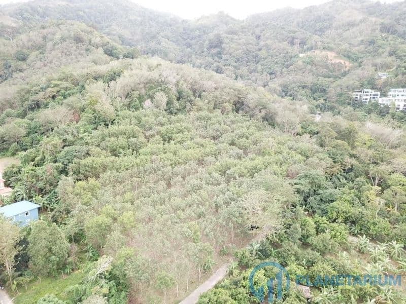 Land on Bangtao — photo 1