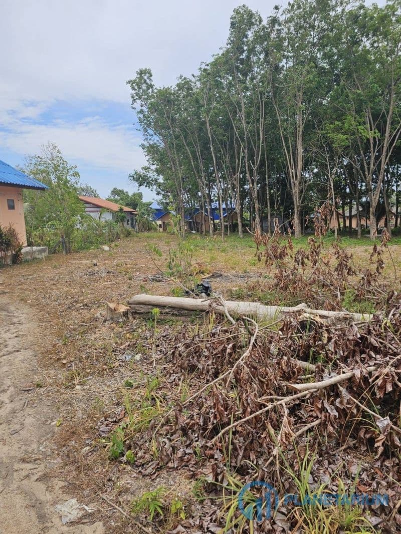 Land for sale at saiyuan rawai — photo 1