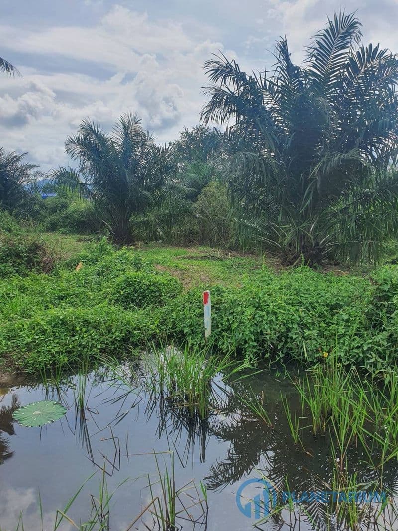 Land at pasak — photo 1