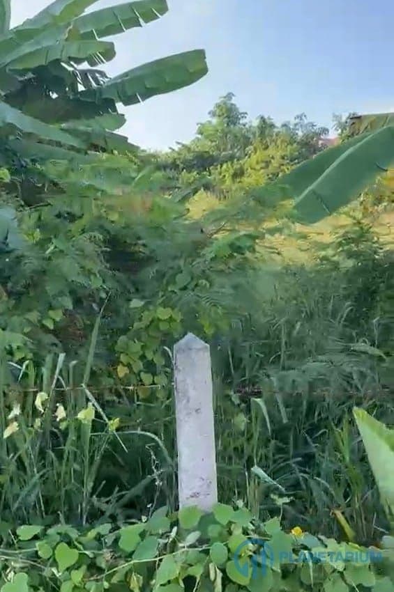 Land for sale chalong — photo 1