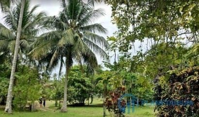 Land Rang Yai Island for sale — photo 1