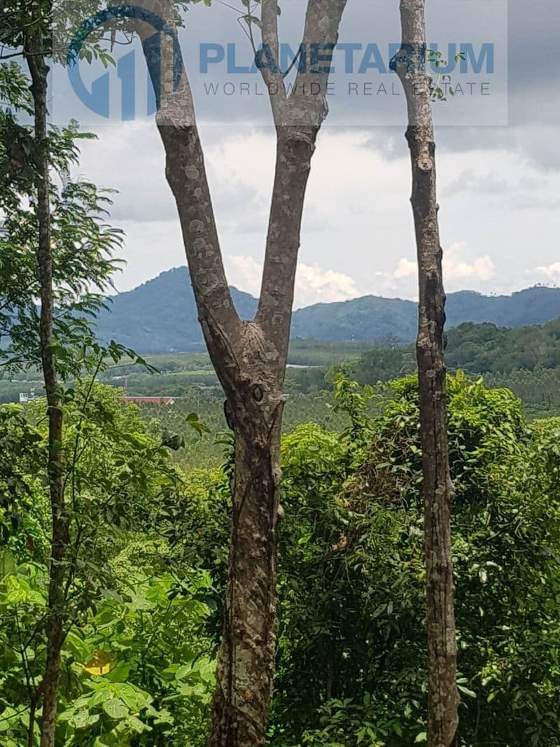 Land with seaview bangtao — photo 1