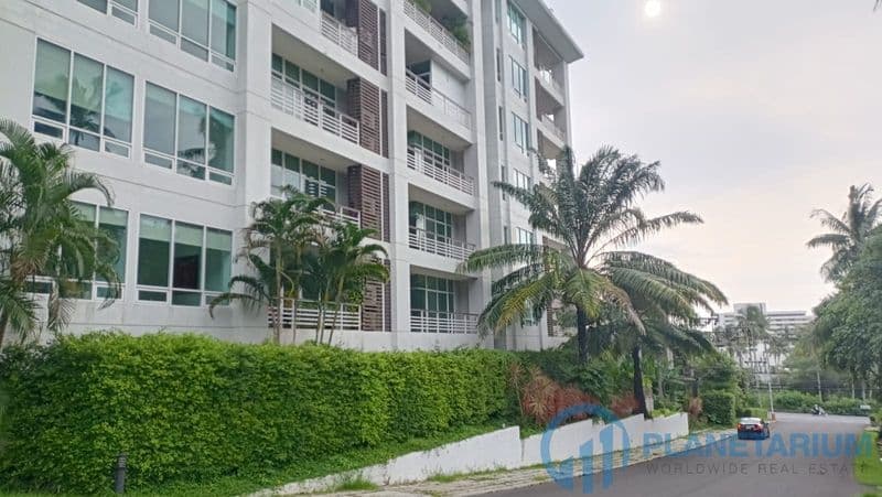 Palm at karon hill — photo 1