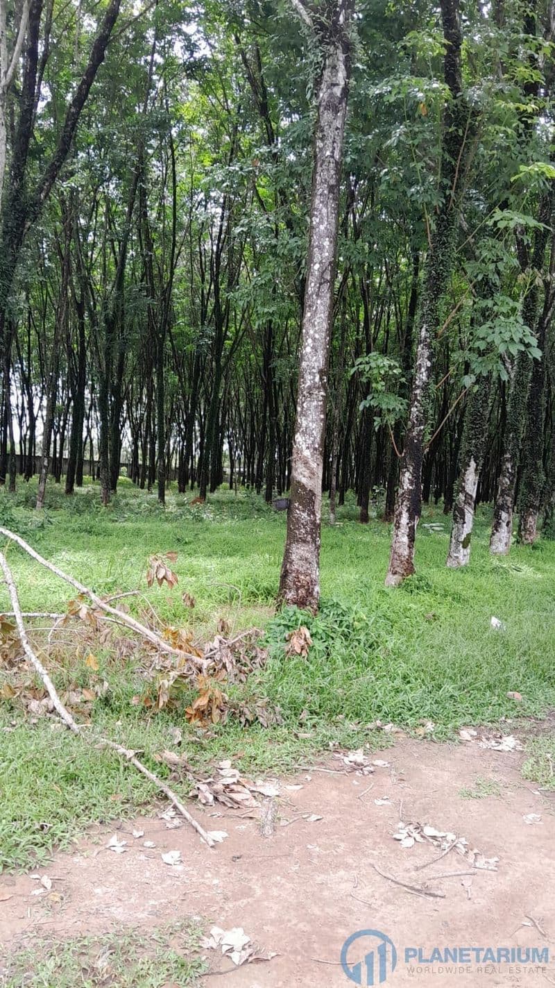 Land for sale on Thalang — photo 1