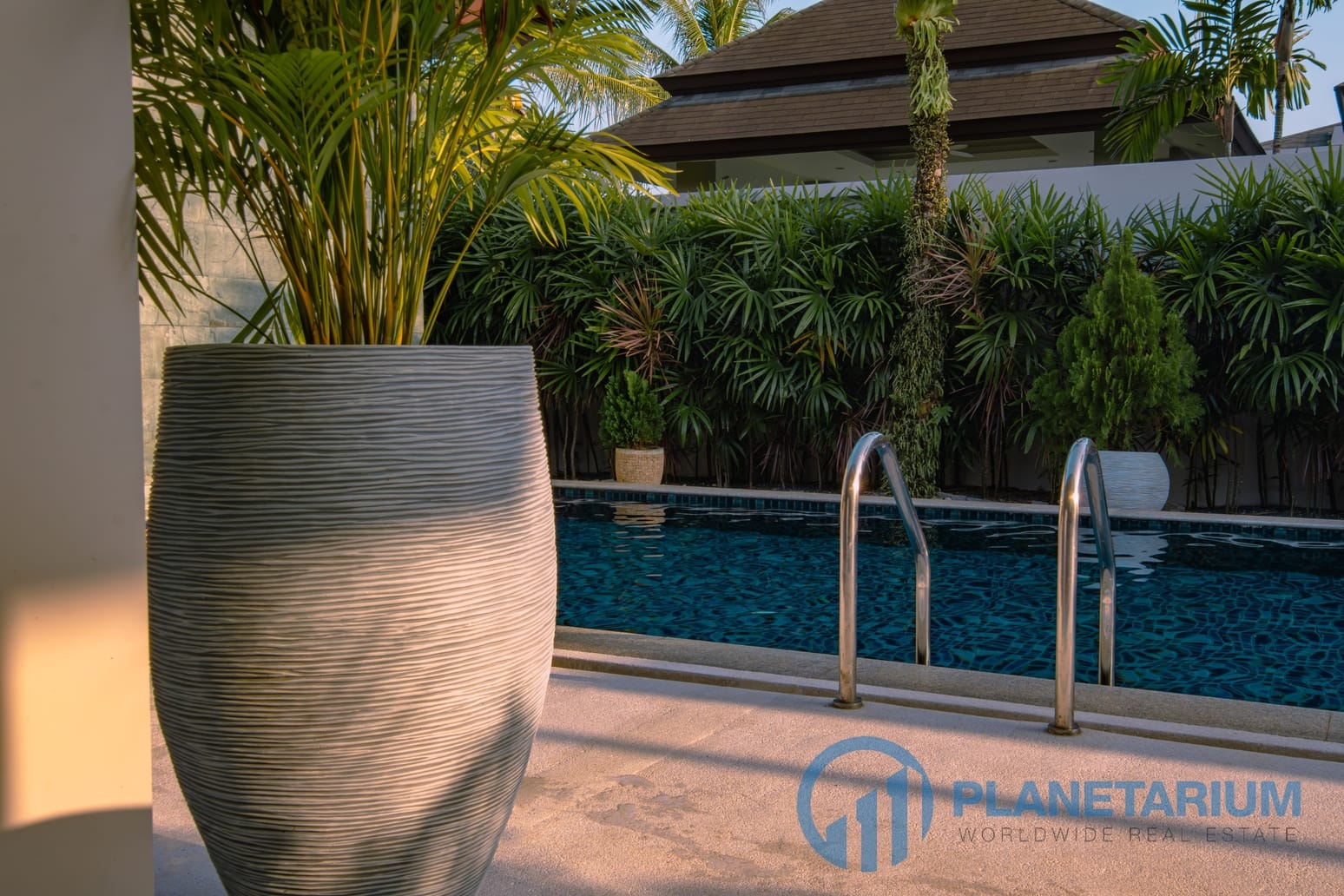 DSC02928-Enhanced-NR