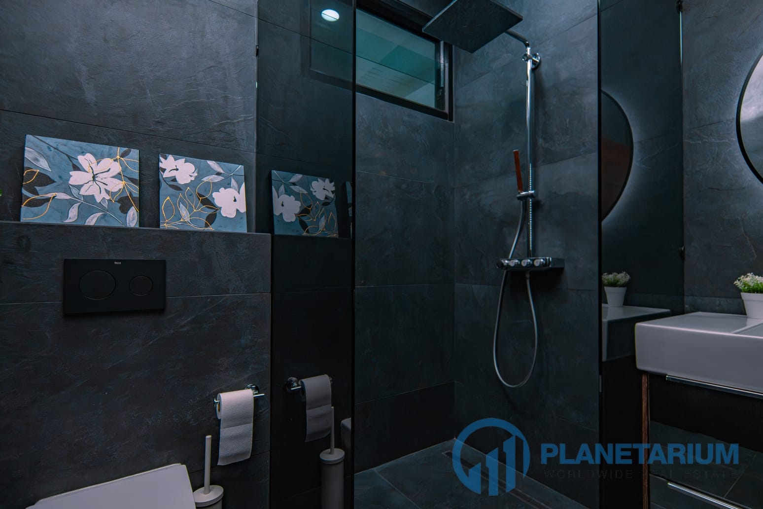 DSC02938-Enhanced-NR