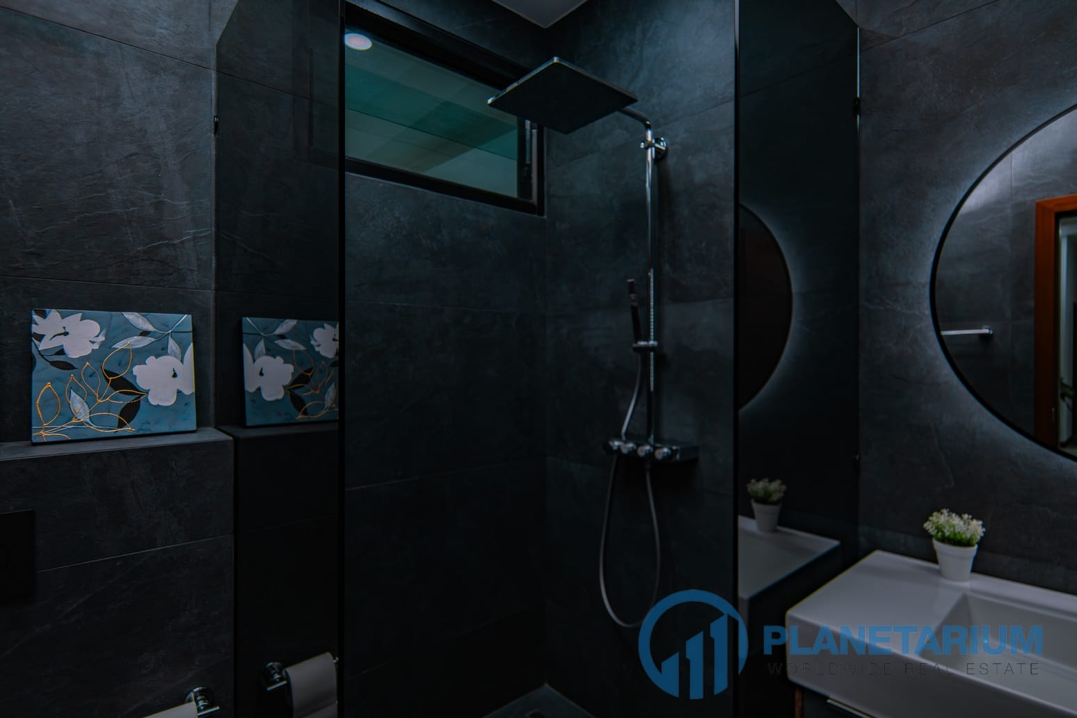 DSC02952-Enhanced-NR