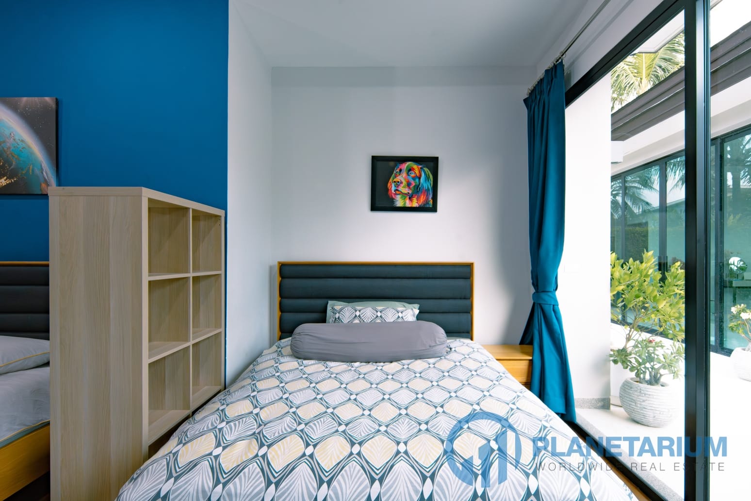 DSC02959-Enhanced-NR