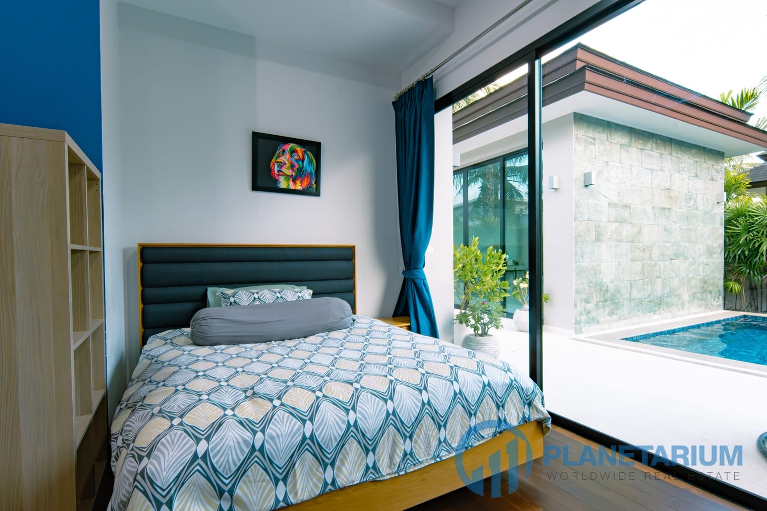 DSC02964-Enhanced-NR