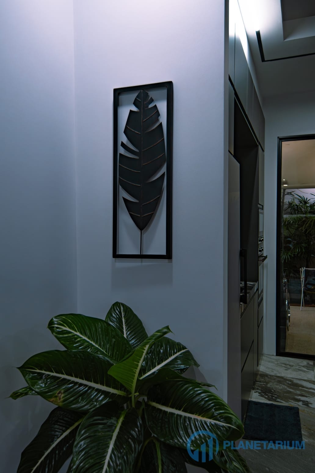 DSC02987-Enhanced-NR