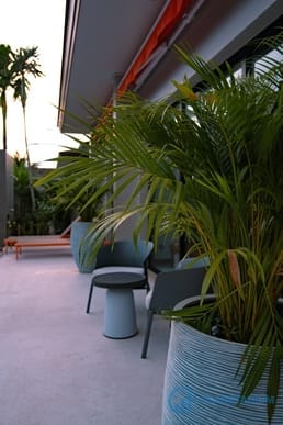 DSC02989