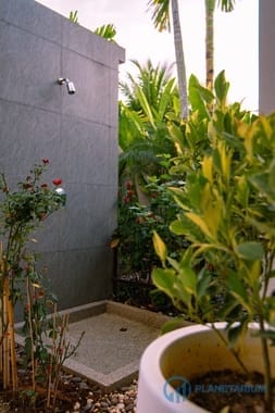 DSC02991