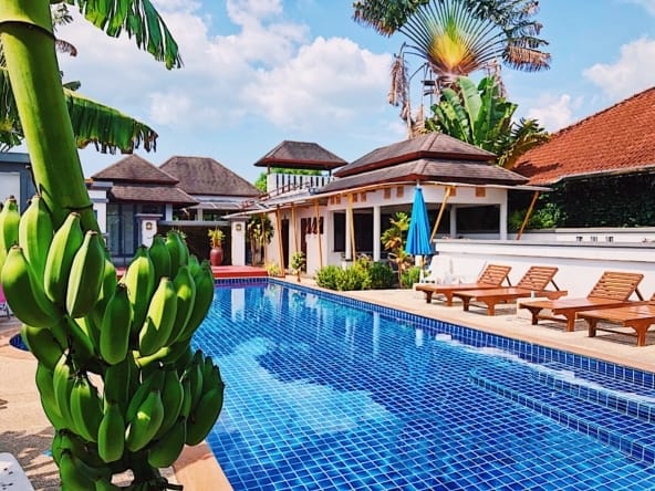 D9672C26 DA5B 4E59 9E47 EDA48903D309