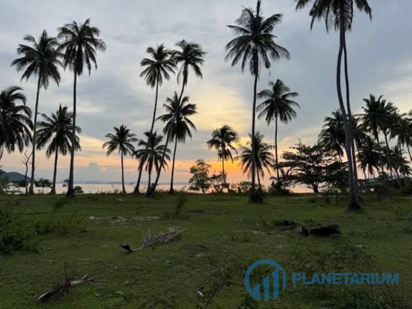 WhatsApp Image 2025 12 17 at 19.04.00